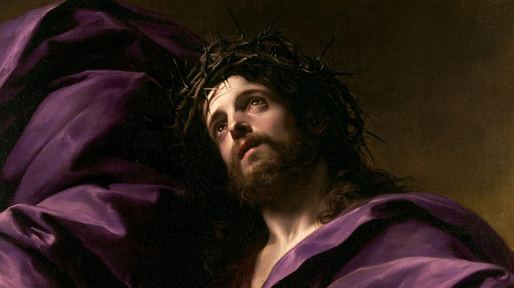 Jesus Crowned with Thorns — The Face beside the Violet Hanging
