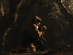 Jesus in Gethsemane — A Prayer in the Dark Clearing