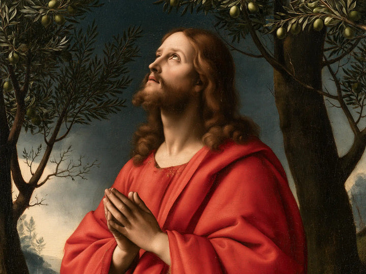 Jesus in Gethsemane — The Face beneath Ripe Olives